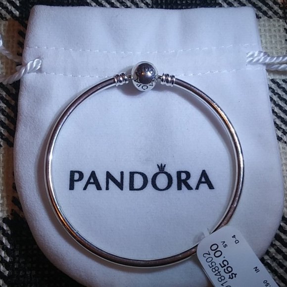 Pandora Moments Bangle Bracelet - Picture 1 of 4